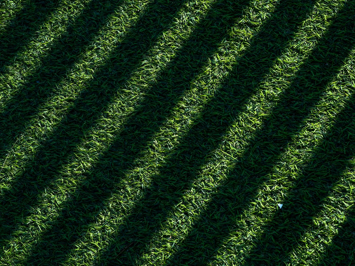 Diagonal mower stripes catching late-afternoon shadows on a Bermuda lawn.