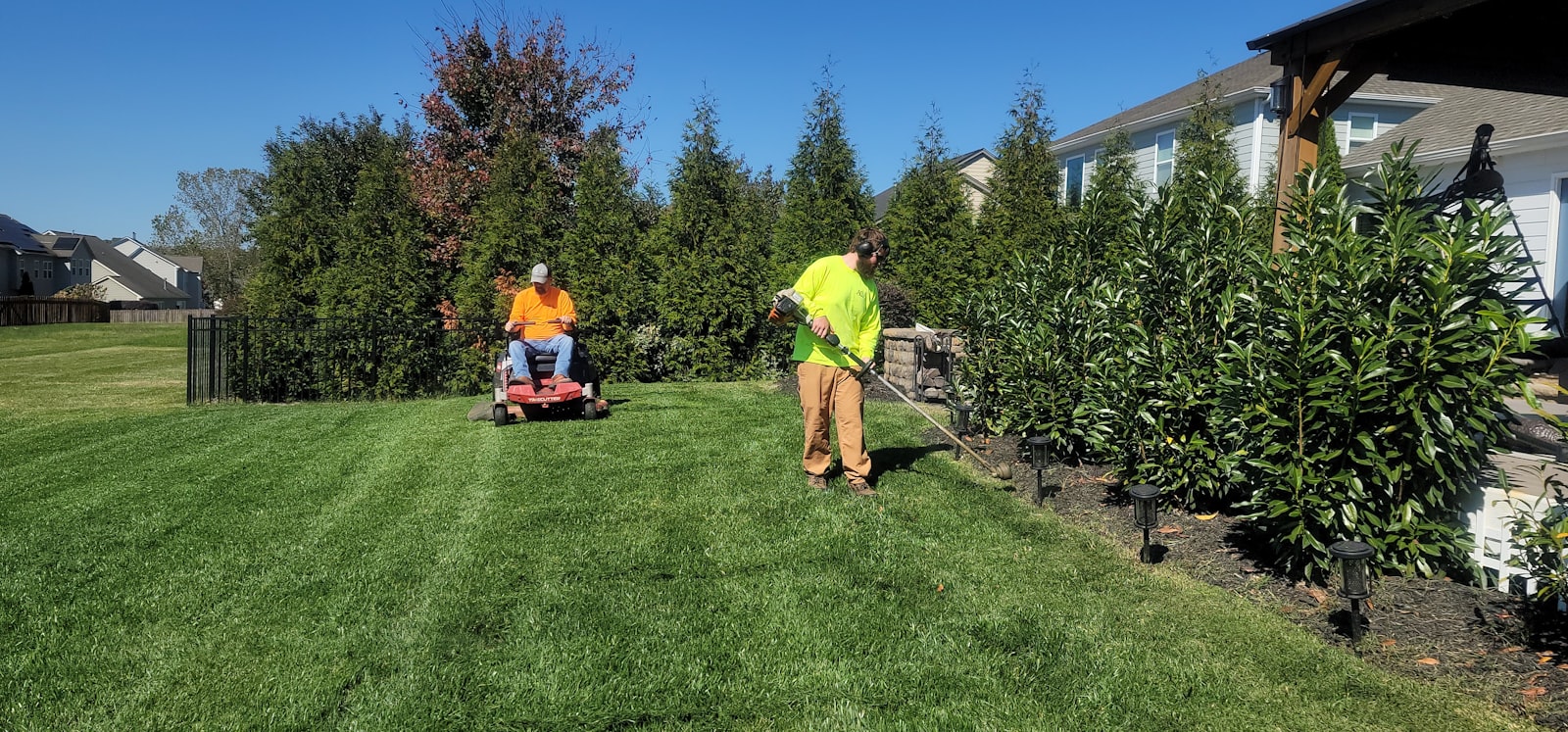Solo operator pushing a walk-behind mower across a residential front yard.